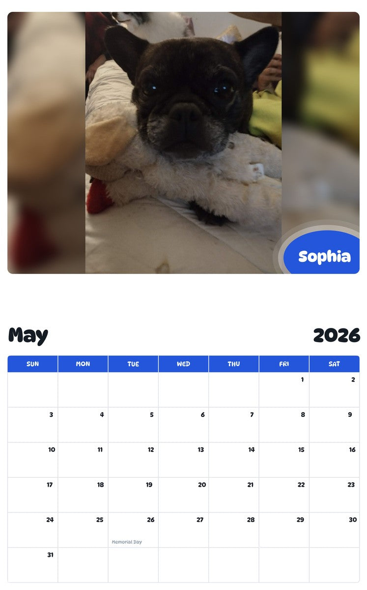 2026 - 2027 Sophia - Pawidols Pet Calendar