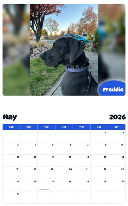 2026 - 2027 Freddie - Pawidols Pet Calendar