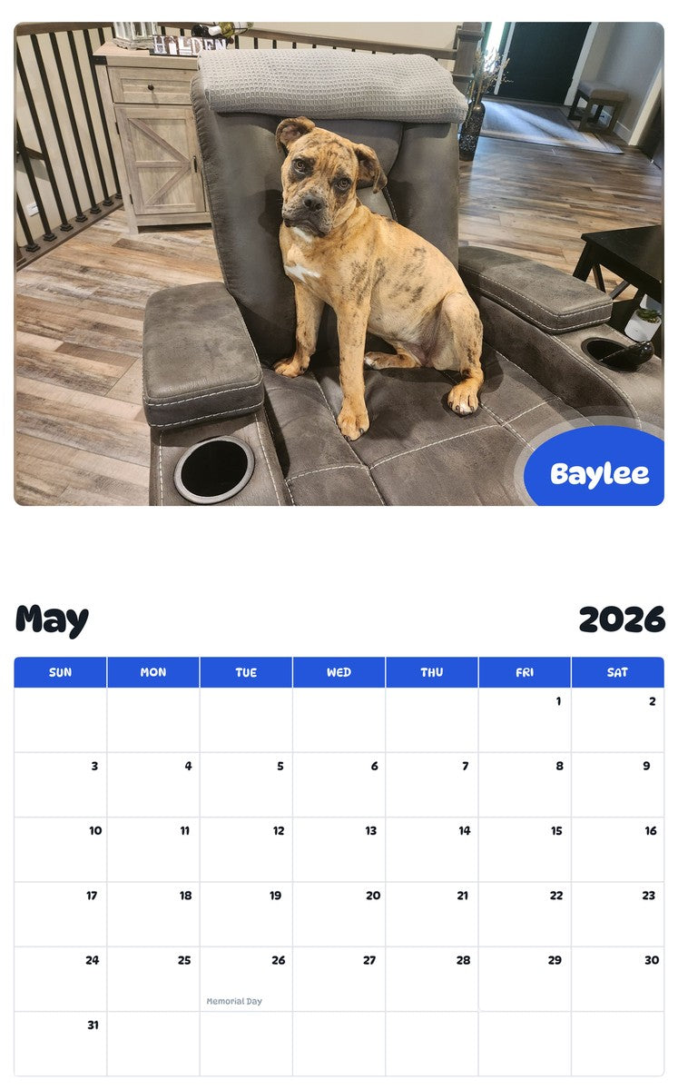 2026 - 2027 Baylee - Pawidols Pet Calendar