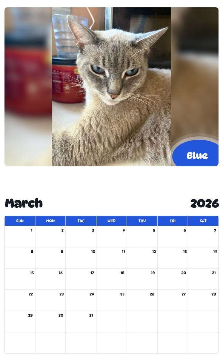 November 2025 - October 2026 Blue - Pawidols Pet Calendar