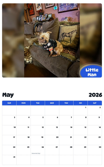 2026 - 2027 Little Man - Pawidols Pet Calendar