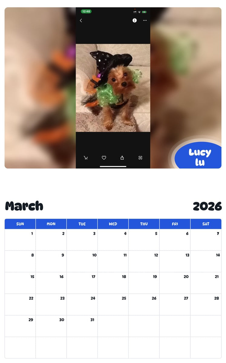 November 2025 - October 2026 Lucy lu - Pawidols Pet Calendar