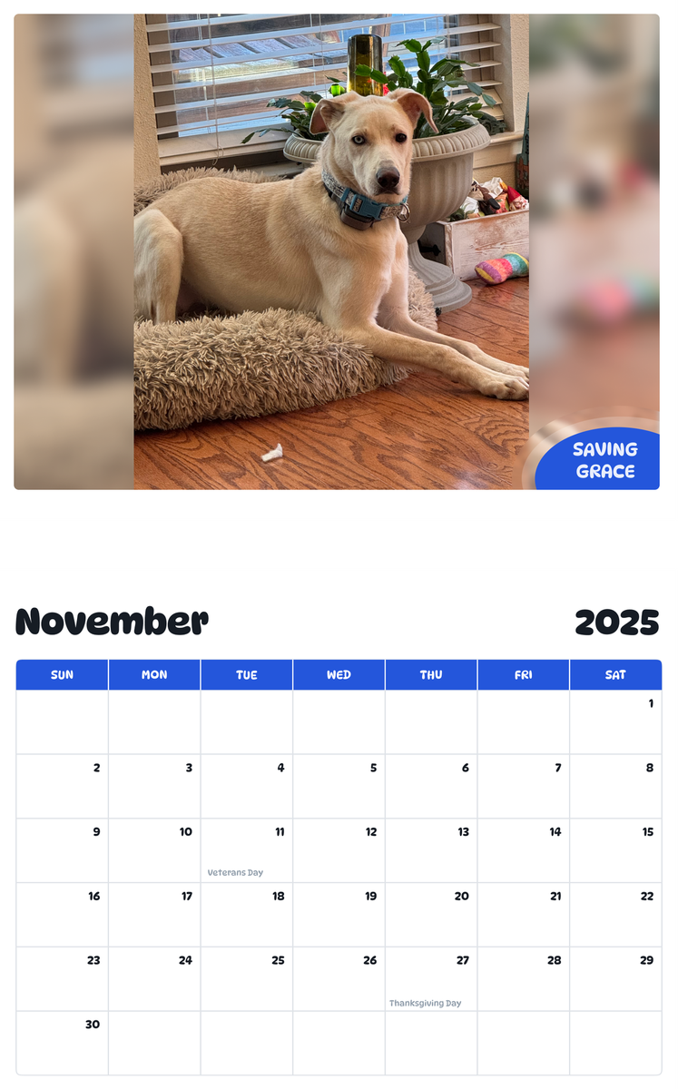 July 2025 - June 2026 Saving grace - Pawidols Pet Calendar