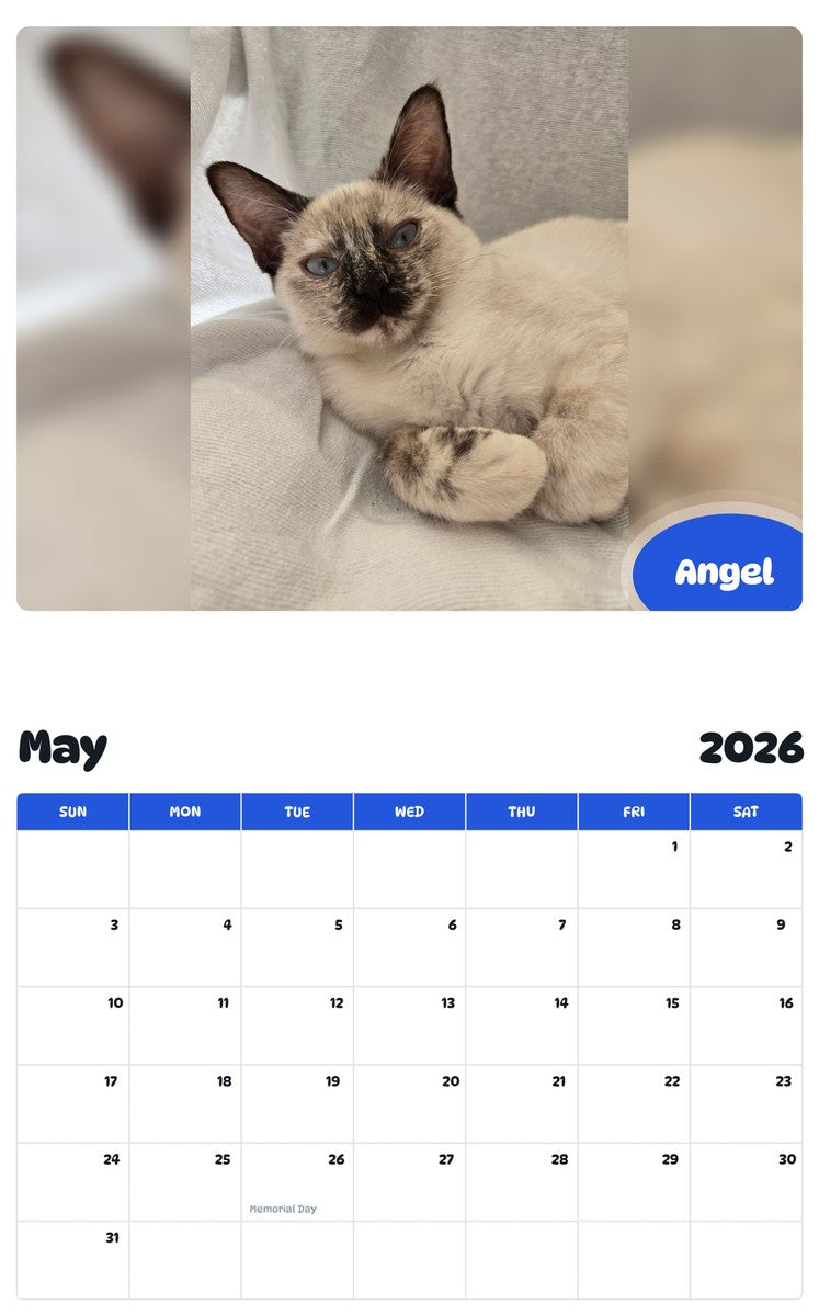 2026 - 2027 Angel - Pawidols Pet Calendar
