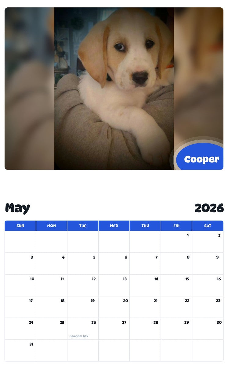 2026 - 2027 Cooper - Pawidols Pet Calendar