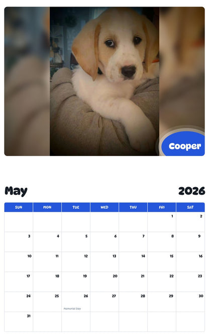 2026 - 2027 Cooper - Pawidols Pet Calendar