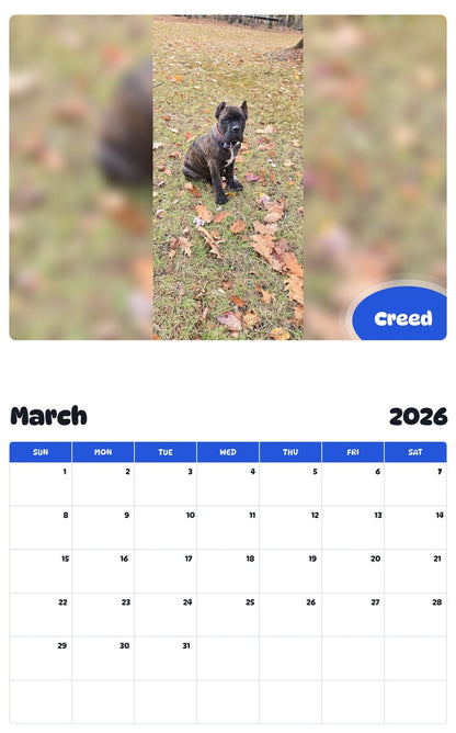 November 2025 - October 2026 Creed - Pawidols Pet Calendar