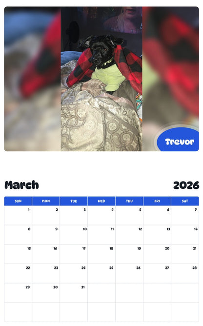 November 2025 - October 2026 Trevor - Pawidols Pet Calendar