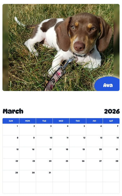 November 2025 - October 2026 Ava - Pawidols Pet Calendar