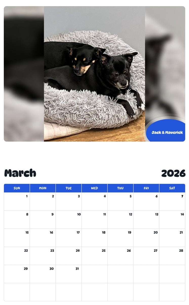 November 2025 - October 2026 Jack & Maverick - Pawidols Pet Calendar