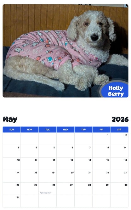2026 - 2027 Holly Berry - Pawidols Pet Calendar