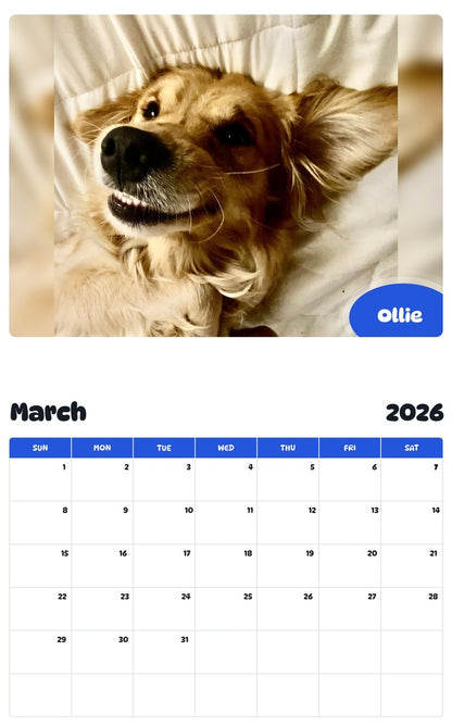 November 2025 - October 2026 Ollie - Pawidols Pet Calendar