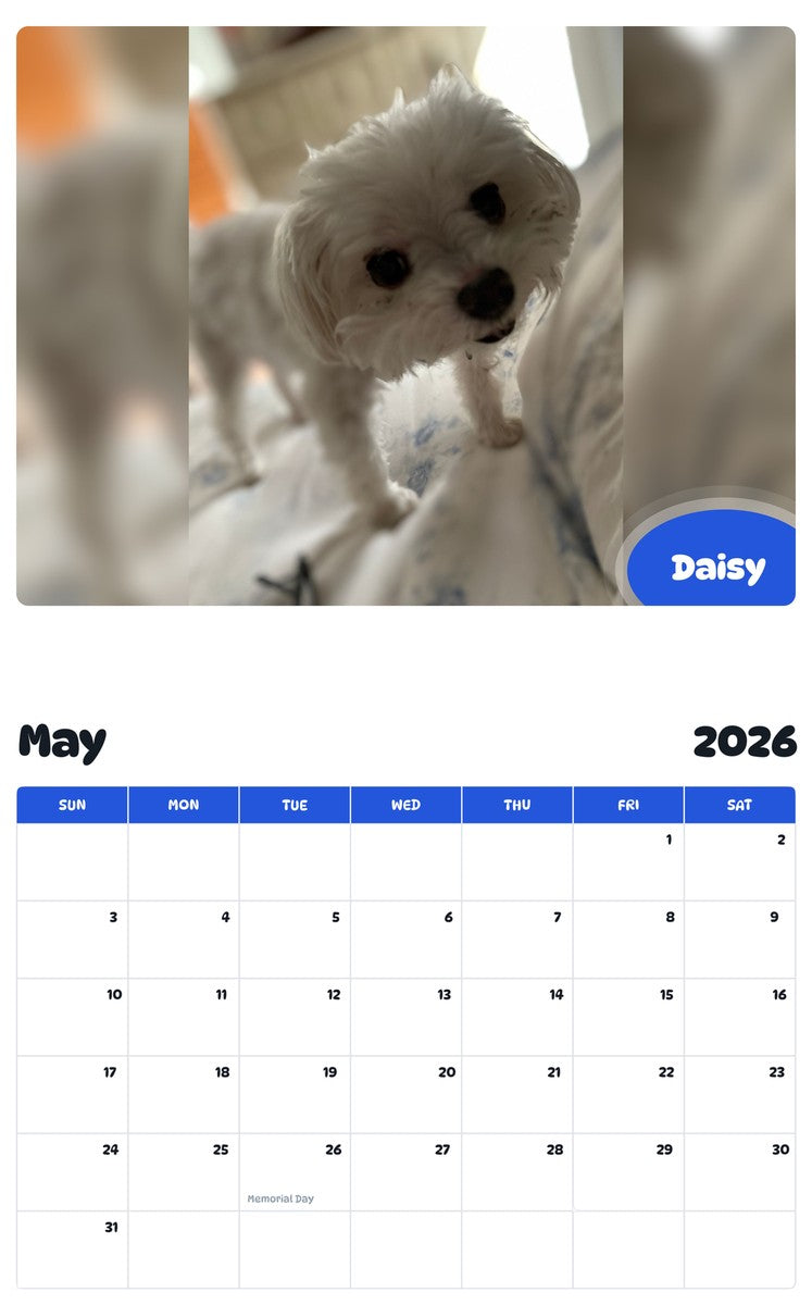 2026 - 2027 Daisy - Pawidols Pet Calendar