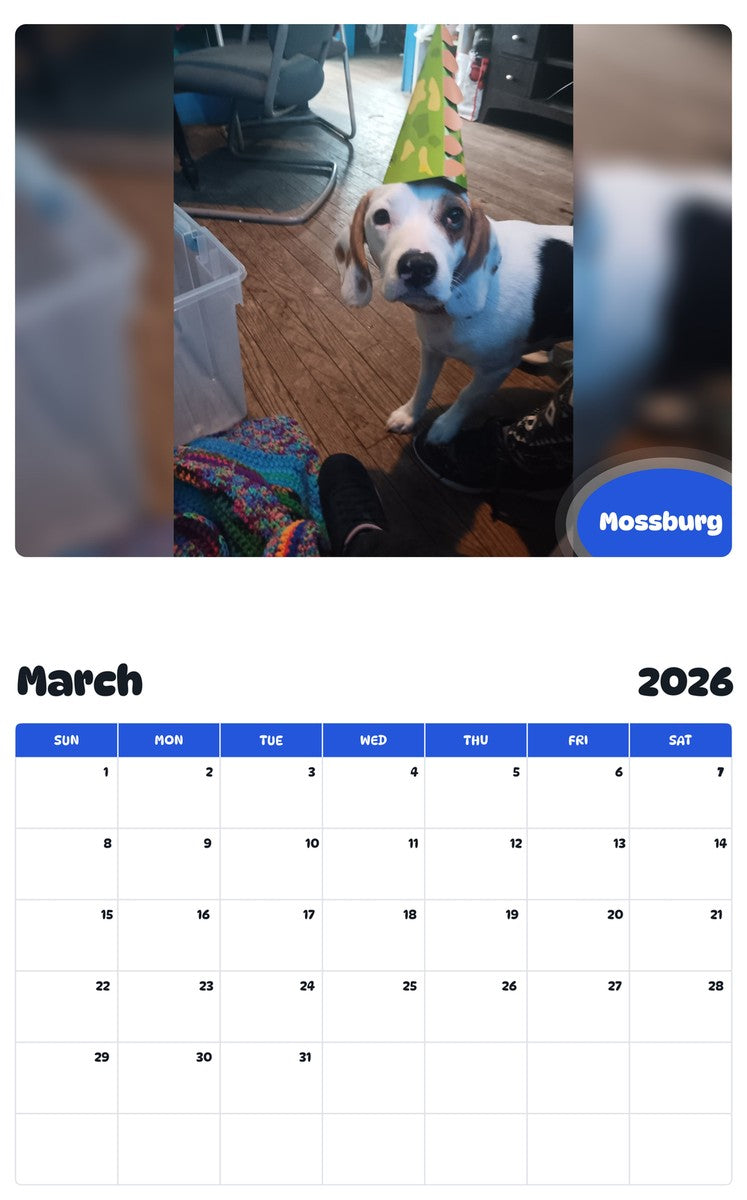 November 2025 - October 2026 Mossburg - Pawidols Pet Calendar