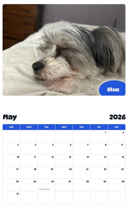 2026 - 2027 Blue - Pawidols Pet Calendar