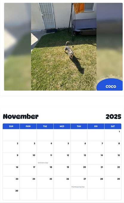 July 2025 - June 2026 Coco - Pawidols Pet Calendar