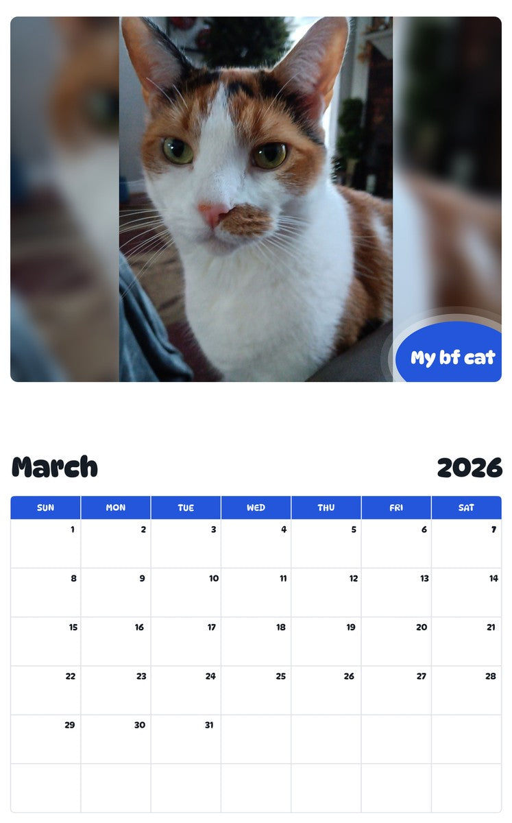 November 2025 - October 2026 My bf cat - Pawidols Pet Calendar