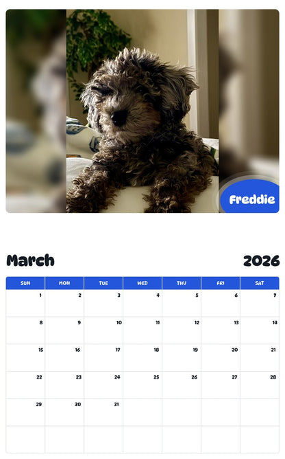 November 2025 - October 2026 Freddie - Pawidols Pet Calendar