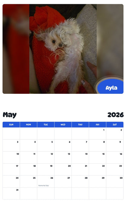 2026 - 2027 Ayla - Pawidols Pet Calendar