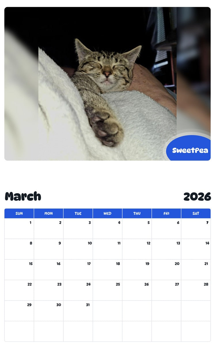 November 2025 - October 2026 SweetPea - Pawidols Pet Calendar