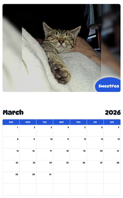 November 2025 - October 2026 SweetPea - Pawidols Pet Calendar