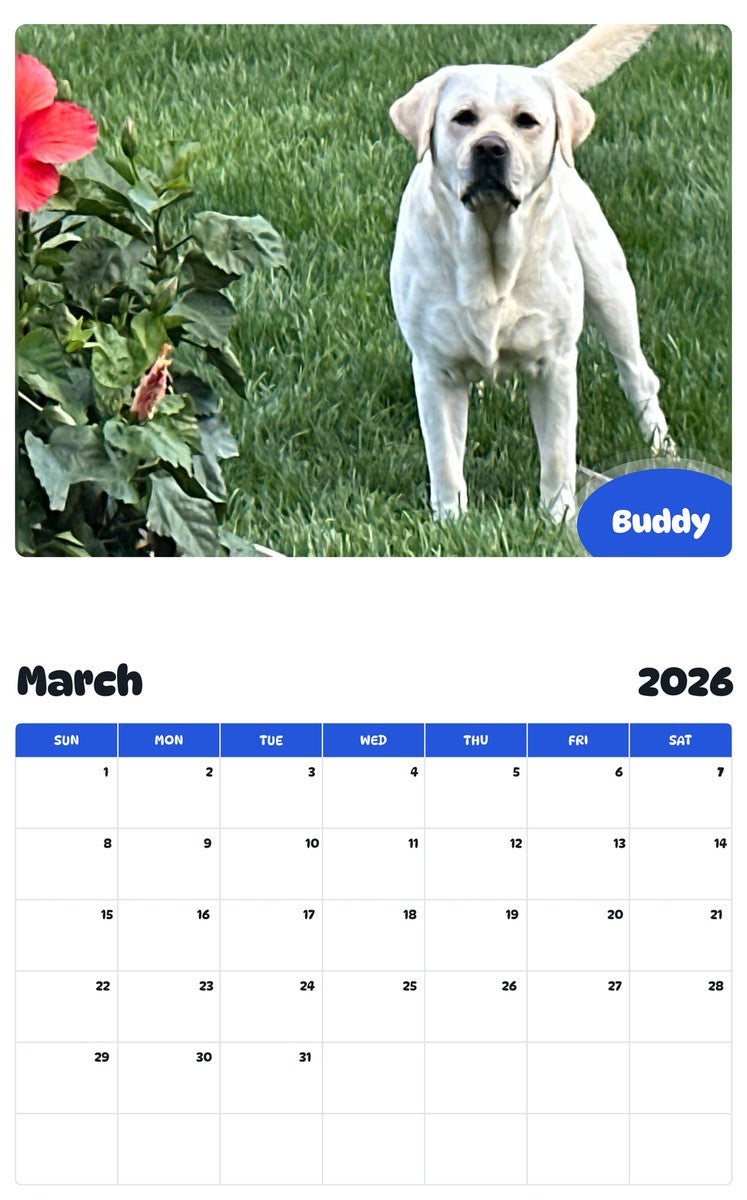 November 2025 - October 2026 Buddy - Pawidols Pet Calendar