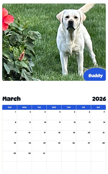 November 2025 - October 2026 Buddy - Pawidols Pet Calendar