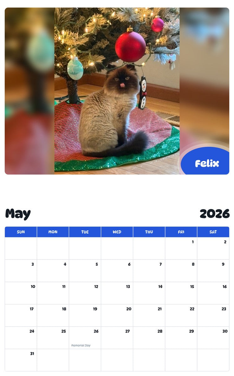 2026 - 2027 Felix - Pawidols Pet Calendar
