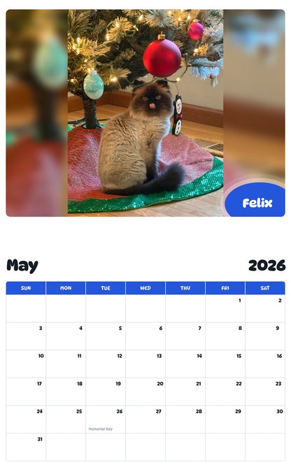 2026 - 2027 Felix - Pawidols Pet Calendar