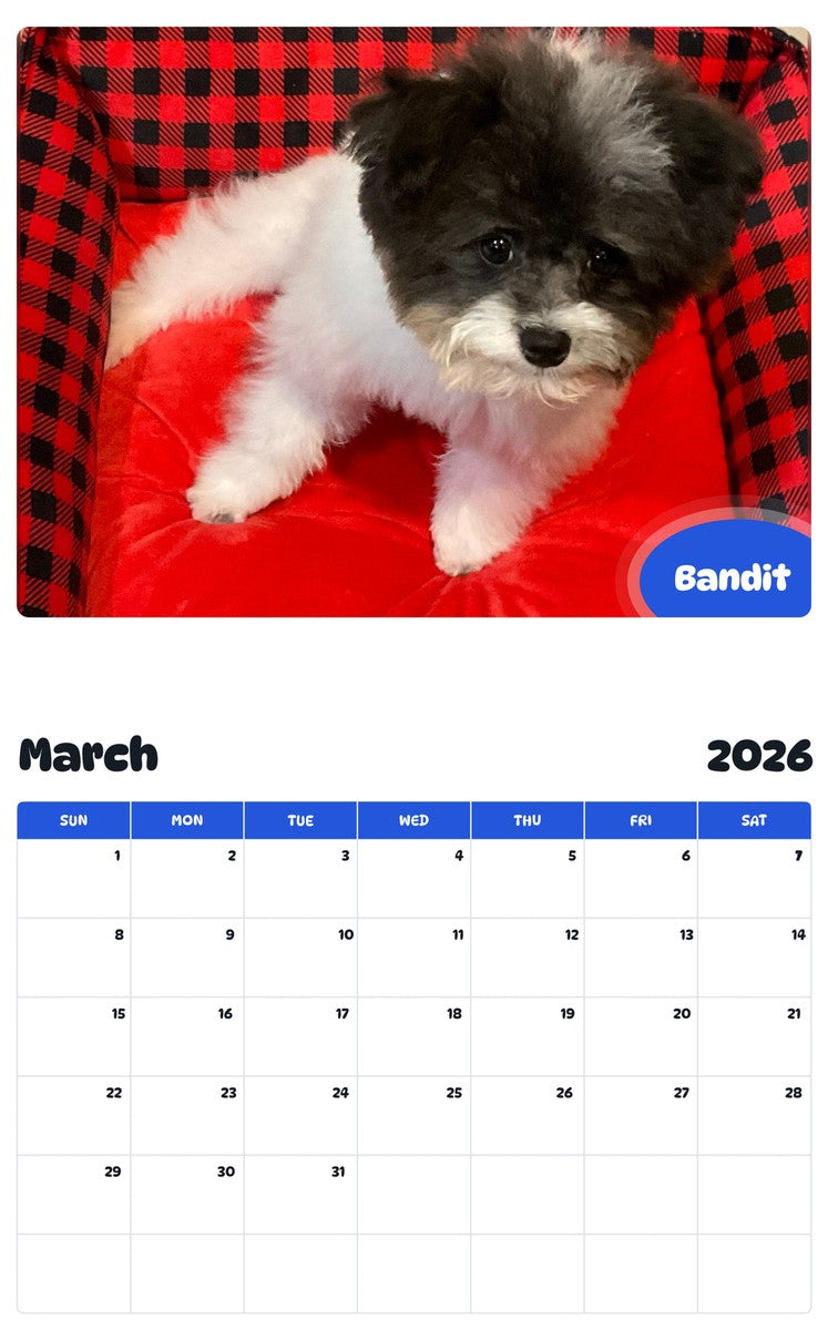 November 2025 - October 2026 Bandit - Pawidols Pet Calendar