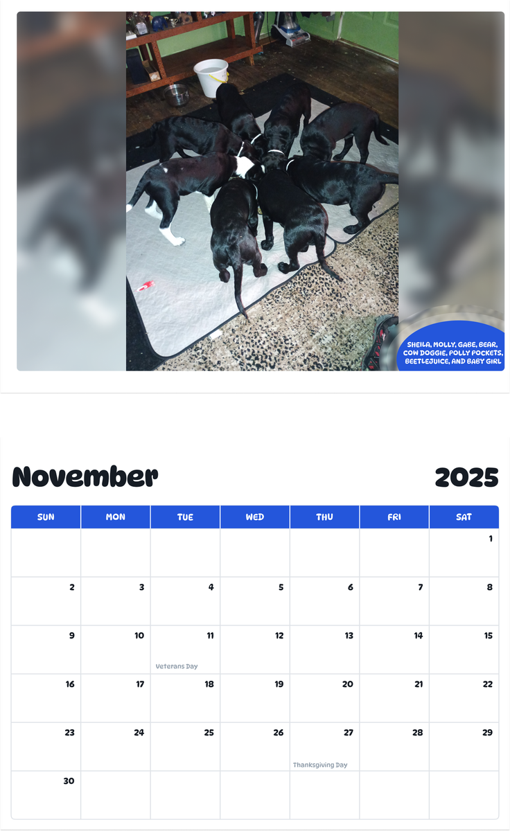 July 2025 - June 2026 Sheila, Molly, Gabe, Bear, Cow Doggie, Polly Pockets, Beetlejuice, and Baby Girl - Pawidols Pet Calendar