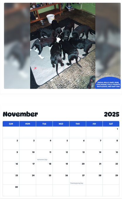 July 2025 - June 2026 Sheila, Molly, Gabe, Bear, Cow Doggie, Polly Pockets, Beetlejuice, and Baby Girl - Pawidols Pet Calendar