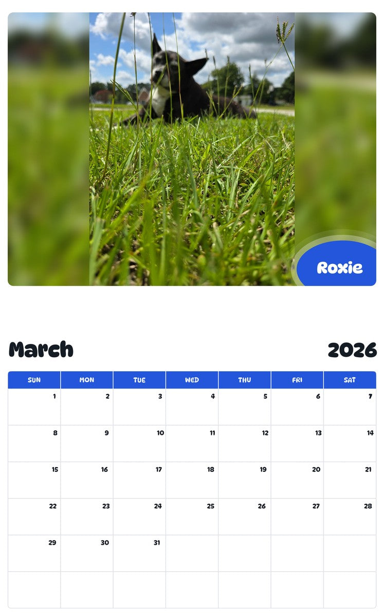November 2025 - October 2026 Roxie - Pawidols Pet Calendar