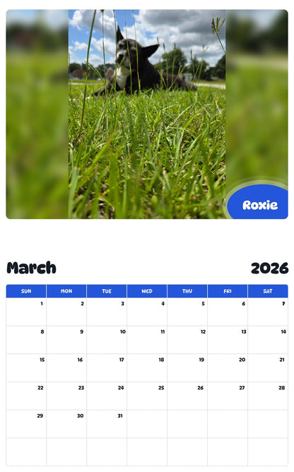 November 2025 - October 2026 Roxie - Pawidols Pet Calendar