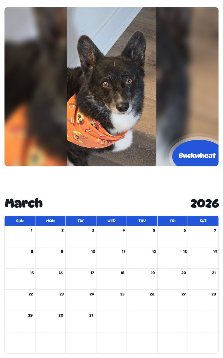 November 2025 - October 2026 Buckwheat - Pawidols Pet Calendar