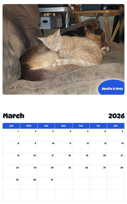 November 2025 - October 2026 Apollo & Ares - Pawidols Pet Calendar
