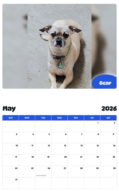 2026 - 2027 Bear - Pawidols Pet Calendar