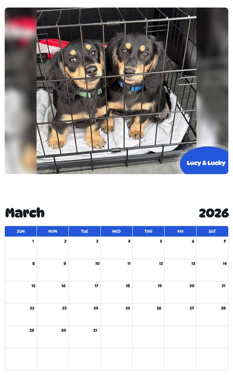 November 2025 - October 2026 Lucy & Lucky - Pawidols Pet Calendar