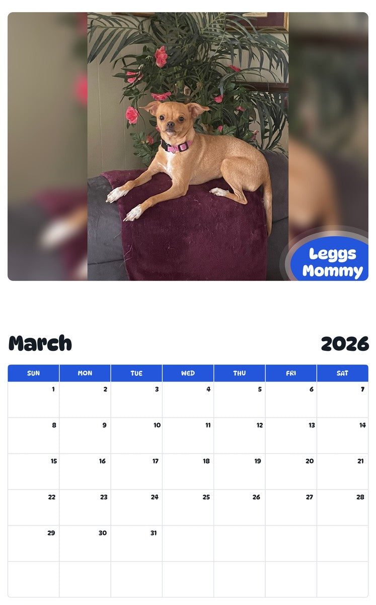 November 2025 - October 2026 Leggs Mommy - Pawidols Pet Calendar