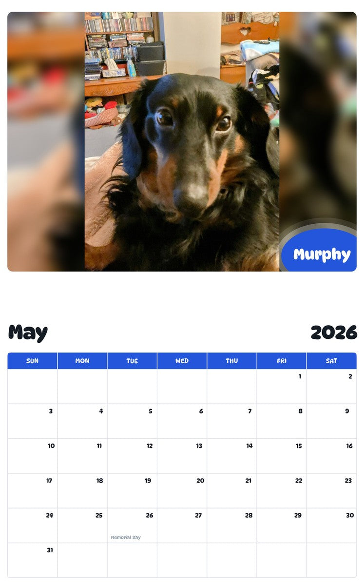2026 - 2027 Murphy - Pawidols Pet Calendar
