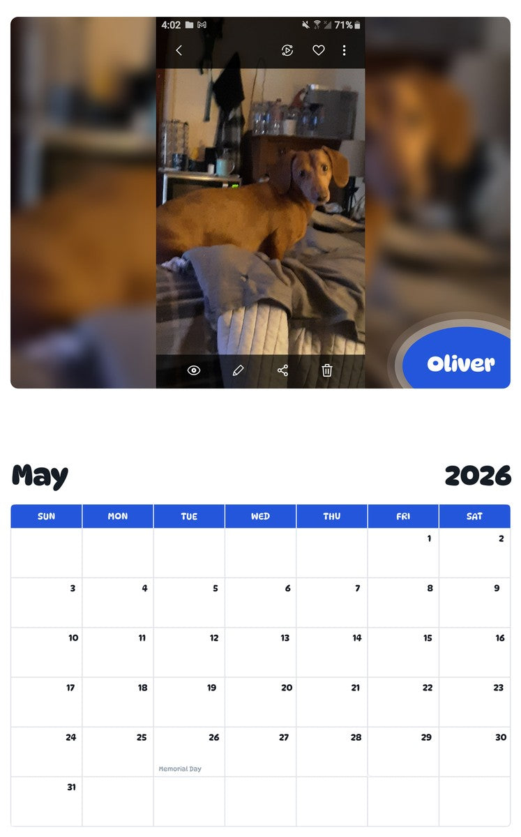 2026 - 2027 Oliver - Pawidols Pet Calendar