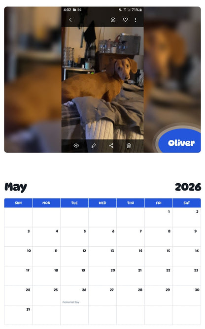 2026 - 2027 Oliver - Pawidols Pet Calendar