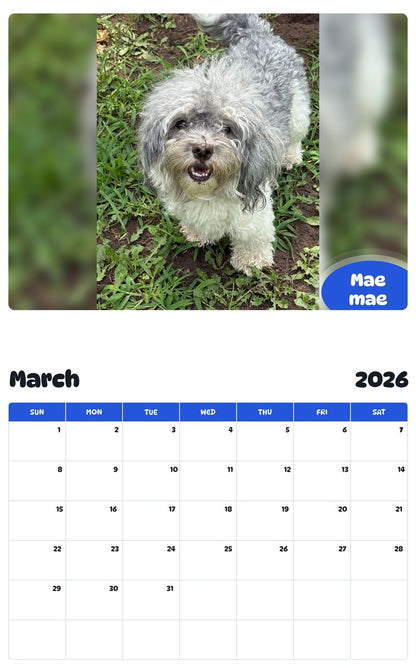 November 2025 - October 2026 Mae mae - Pawidols Pet Calendar