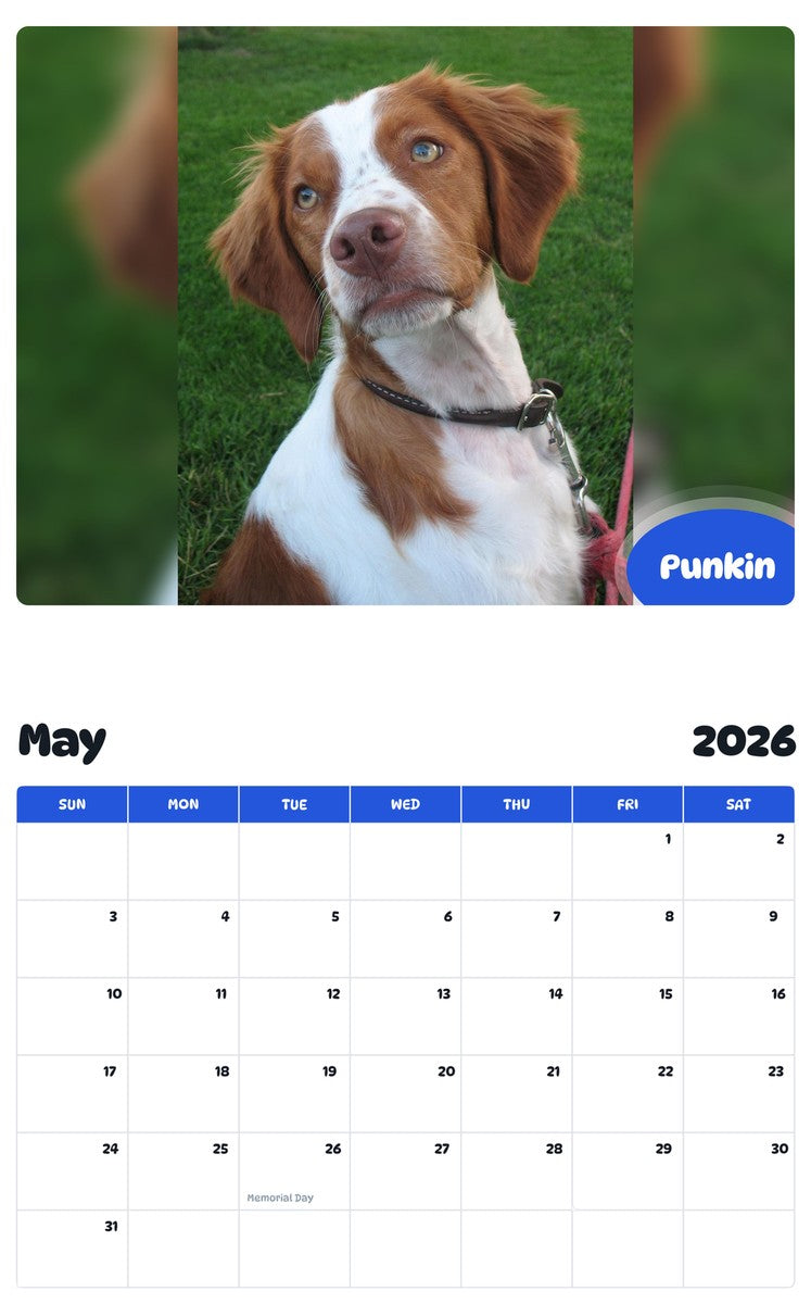 2026 - 2027 Punkin - Pawidols Pet Calendar