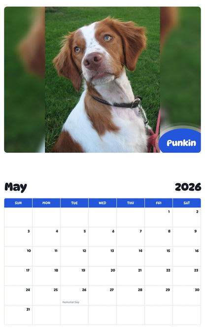 2026 - 2027 Punkin - Pawidols Pet Calendar