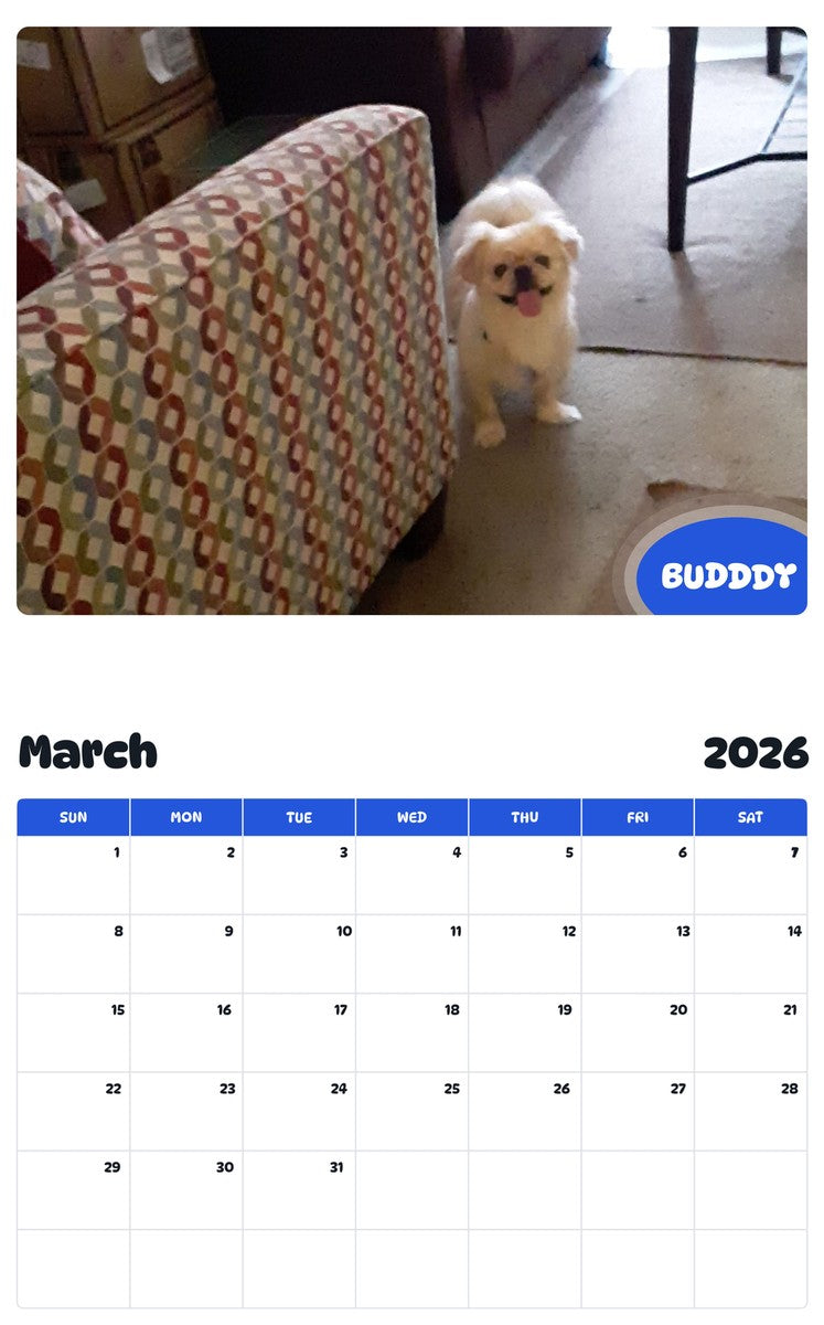 November 2025 - October 2026 BUDDDY - Pawidols Pet Calendar