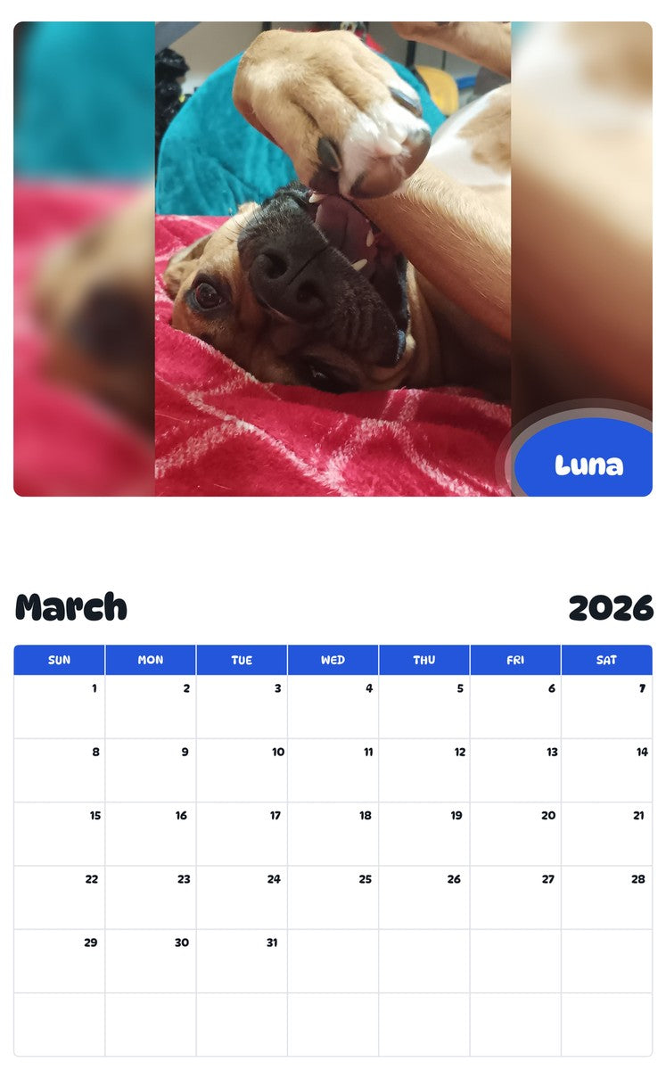 November 2025 - October 2026 Luna - Pawidols Pet Calendar