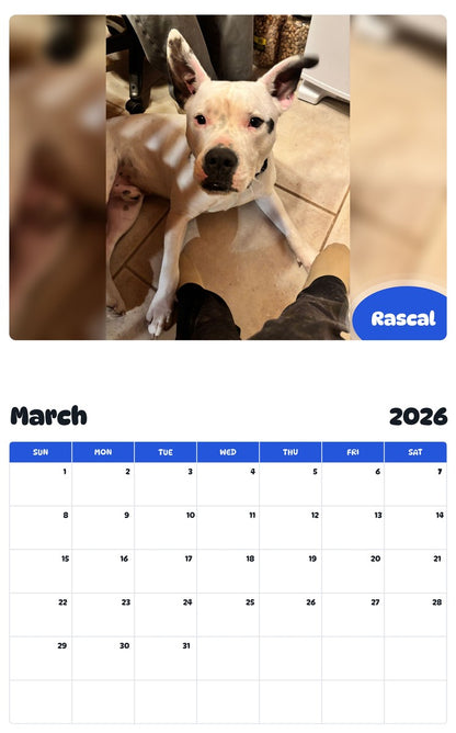 November 2025 - October 2026 Rascal - Pawidols Pet Calendar