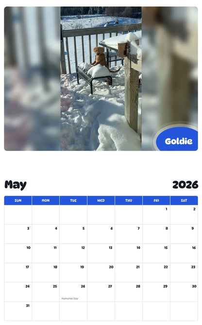 2026 - 2027 Goldie - Pawidols Pet Calendar