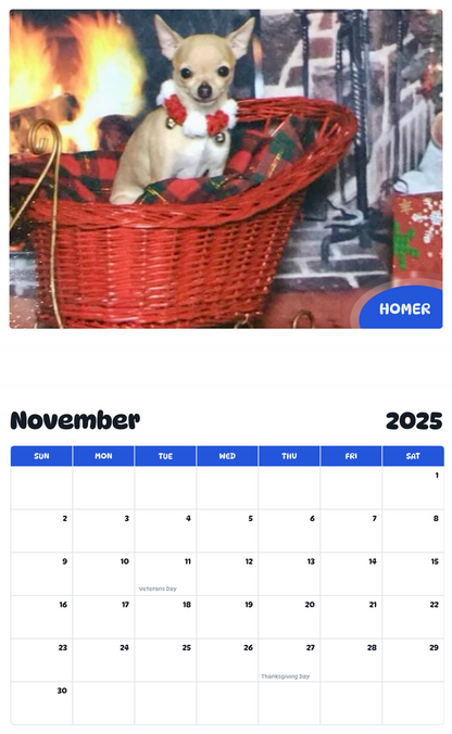 July 2025 - June 2026 Homer - Pawidols Pet Calendar
